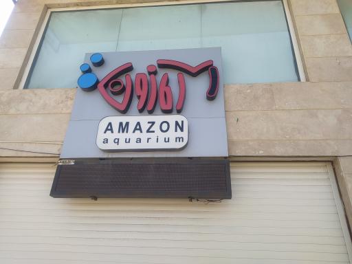 عکس آکواریوم آمازون