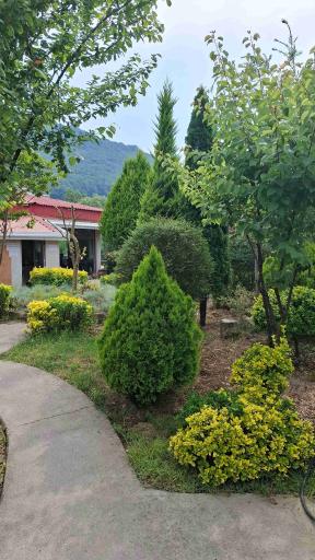 عکس سفره خانه سنتی باغ بهشت سپه سرا