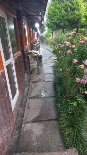 عکس سفره خانه سنتی باغ بهشت سپه سرا