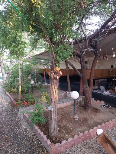 عکس کافه رستوران شب نشین