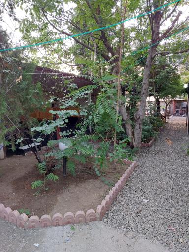 عکس کافه رستوران شب نشین