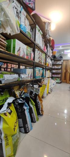 کلینیک دامپزشکی ناژپت