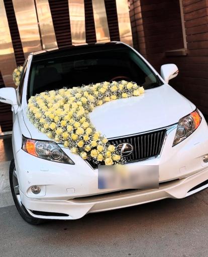 کرایه اتومبیل فاطمه رضائی