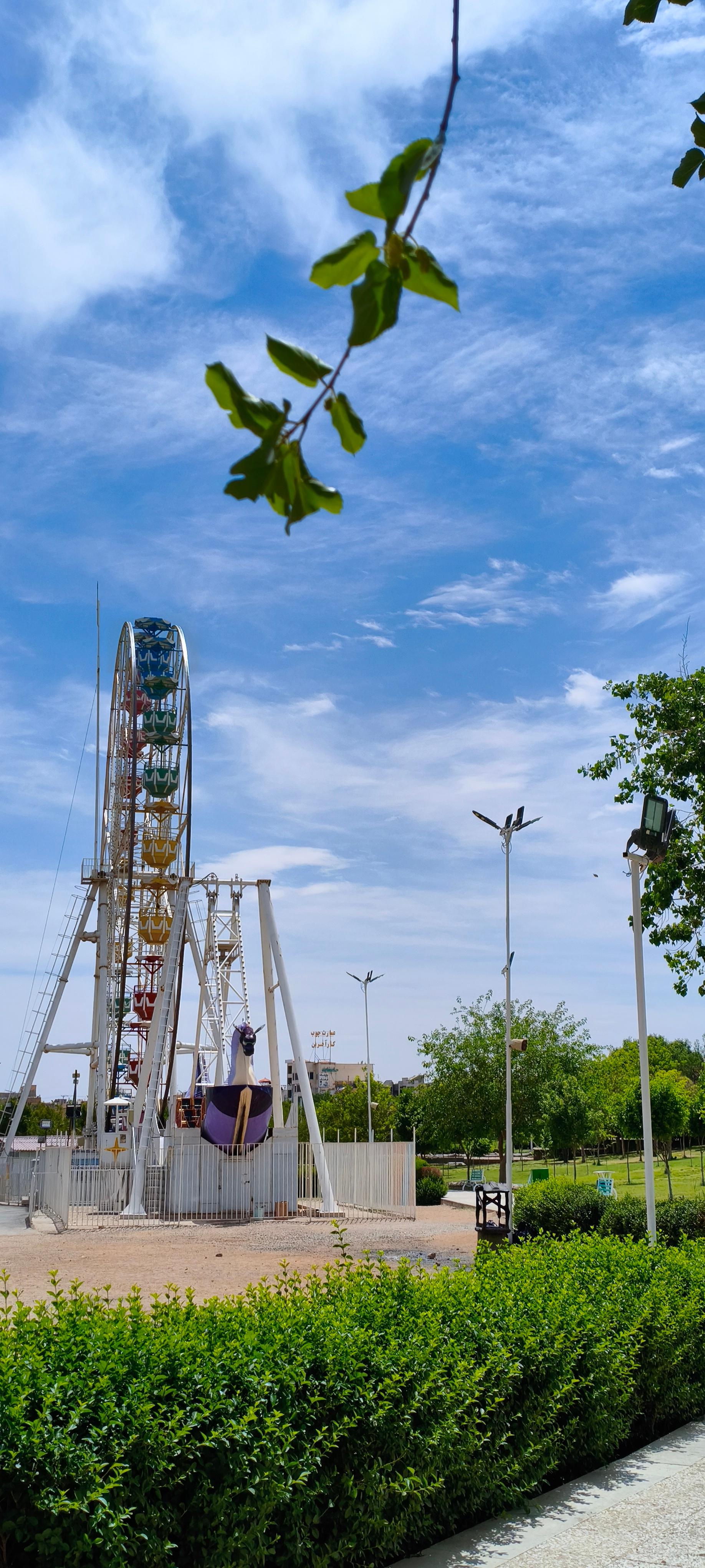 عکس پارک بزرگ شهر (مارکار)