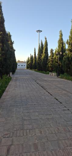 عکس بوستان سهراب سپهری