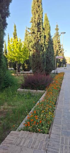 عکس بوستان سهراب سپهری