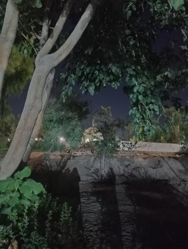 عکس پارک بزرگ شهر (مارکار)