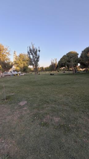 عکس پارک بزرگ شهر (مارکار)