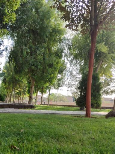 عکس بوستان فاطمیه