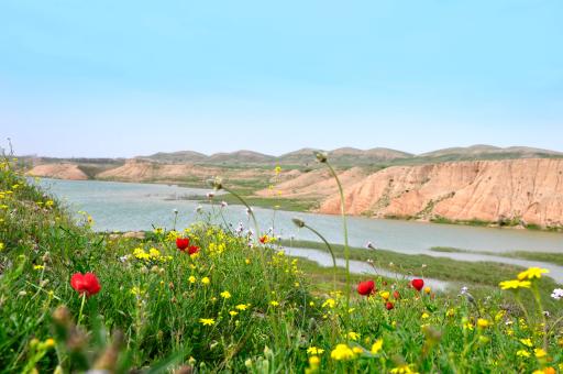 عکس بند خاکی جارود