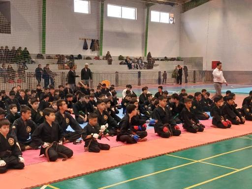 عکس باشگاه تخصصی رزمی تکنیک طلایی 