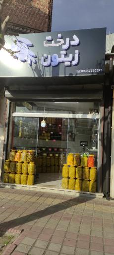 فروشگاه درخت زیتون