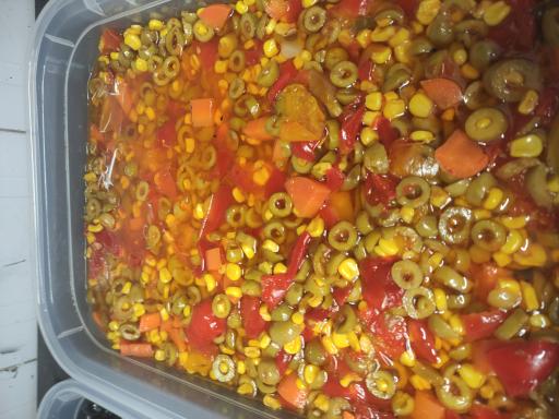 فروشگاه درخت زیتون