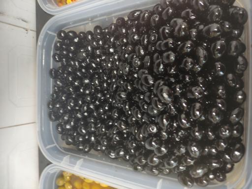 فروشگاه درخت زیتون