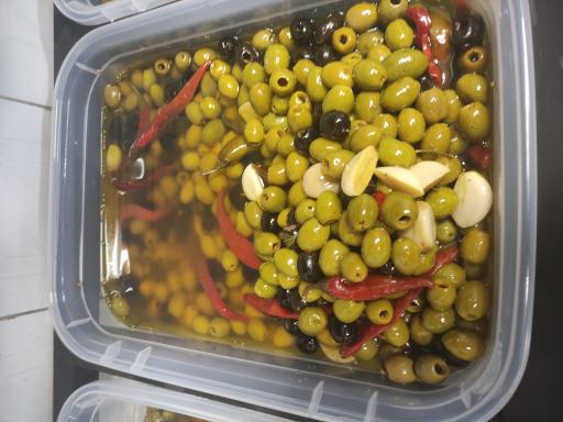 فروشگاه درخت زیتون