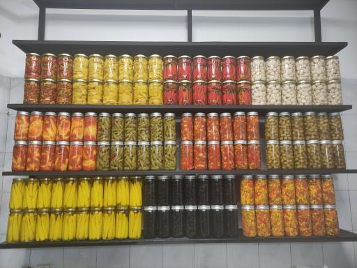 فروشگاه درخت زیتون