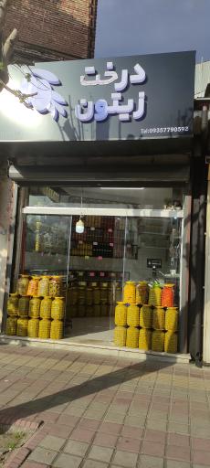 فروشگاه درخت زیتون