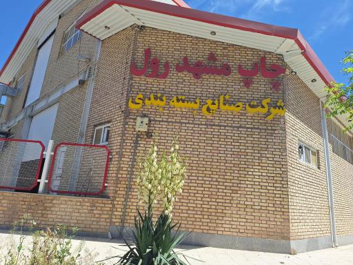 عکس مشهد رول