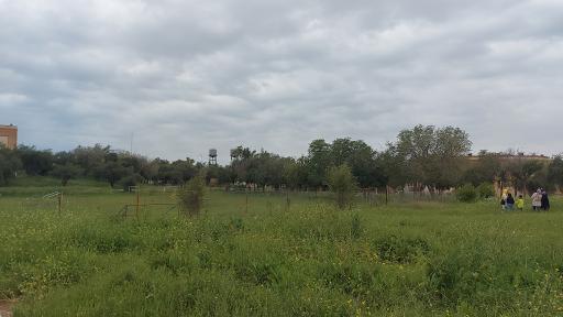 عکس هتل گرگر