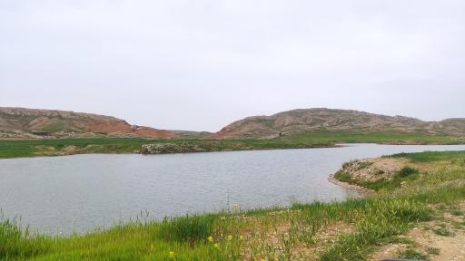 عکس بند خاکی جارود