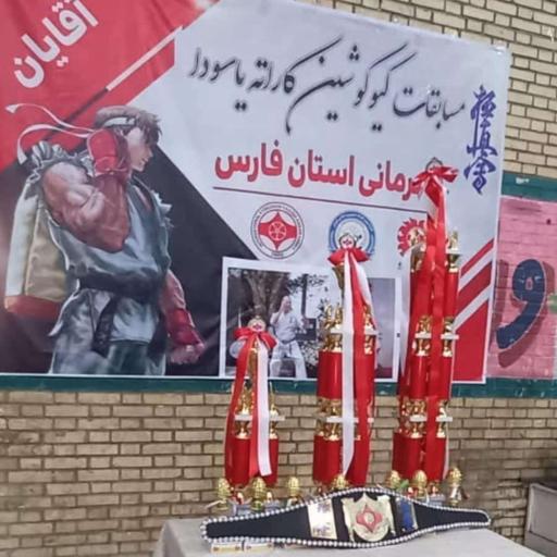 عکس باشگاه هنرهای رزمی هتل رز ریحان