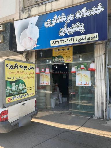 عکس خدمات مرغداری پشتیبان (آمل جوجه)