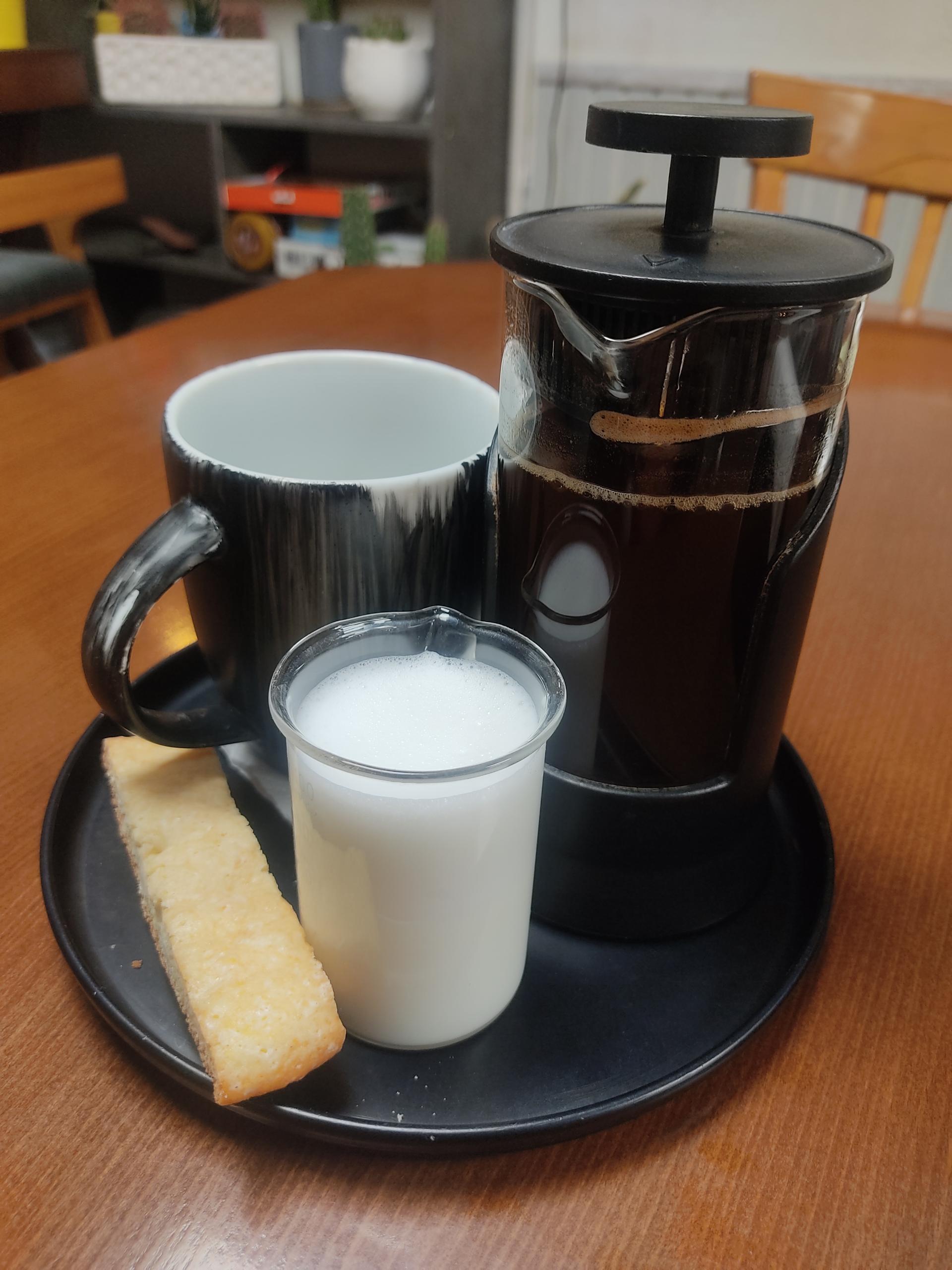 عکس کافه کاکتوس