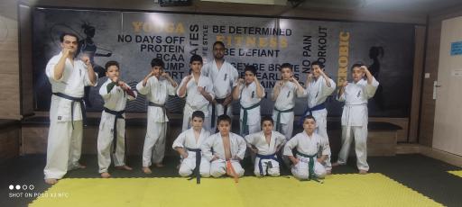 عکس باشگاه هنرهای رزمی هتل رز ریحان