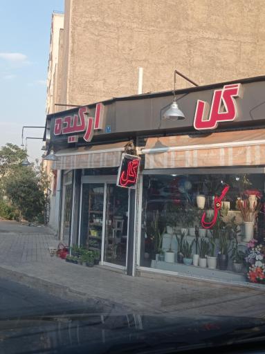 عکس گل ارکیده