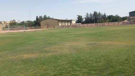 عکس ورزشگاه تختی