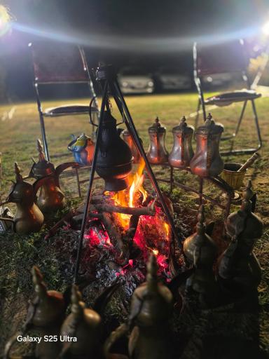عکس حمزه