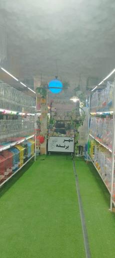 عکس شهر پرنده علی بابا 