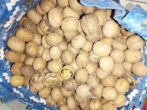 عکس محصولات ارگانیک شمال یاس