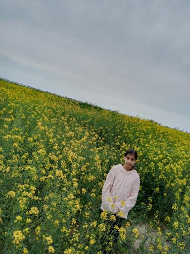 عکس گنبد کاووس