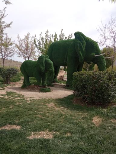 عکس گلستان کوه