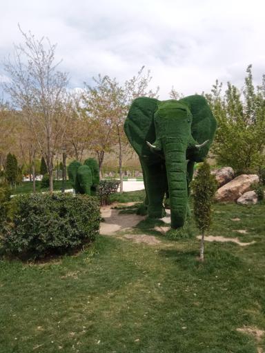 عکس گلستان کوه