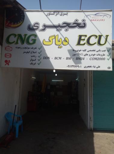 تنظیم موتور و CNG نخجیری