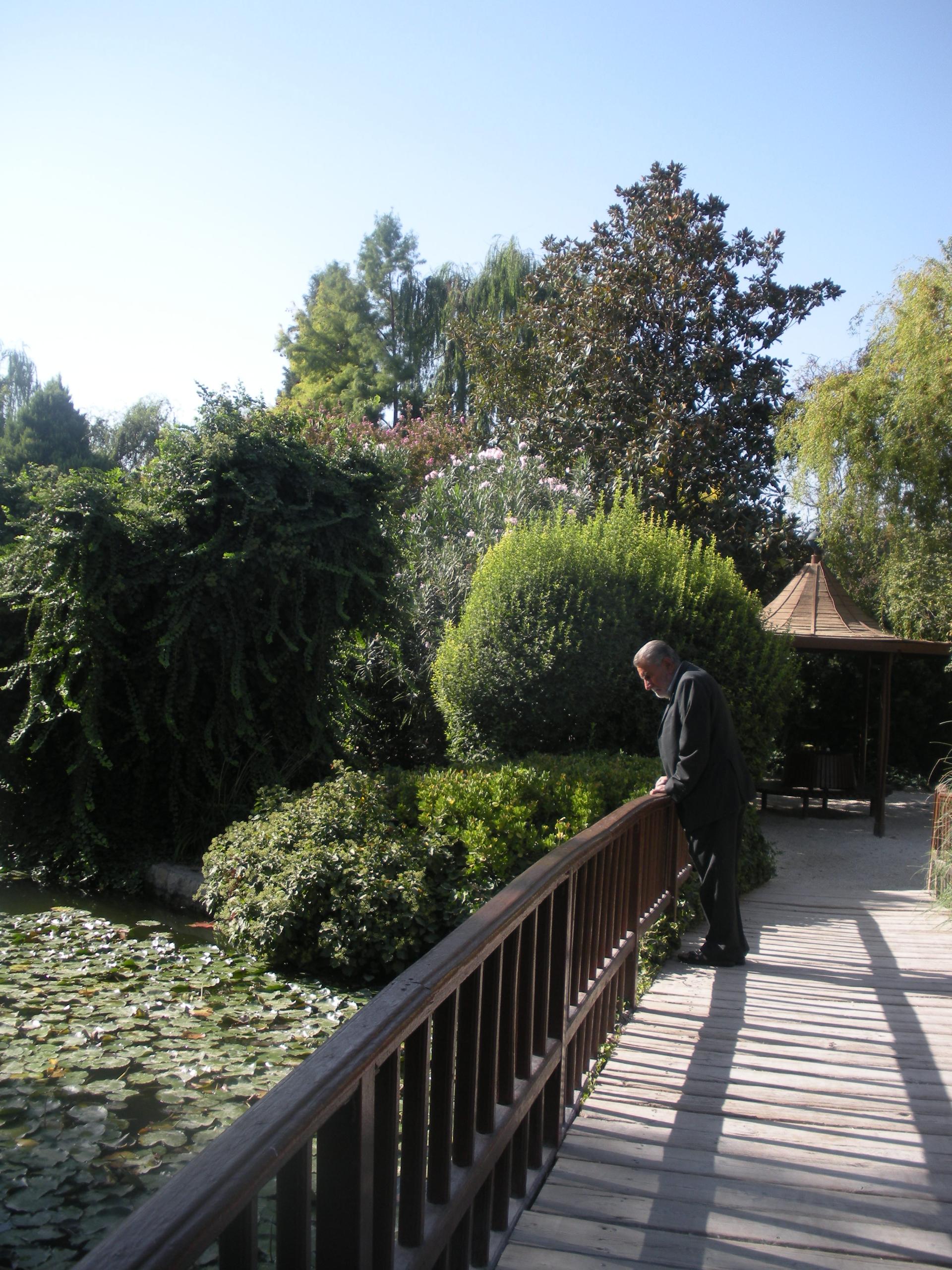 عکس باغ گلها