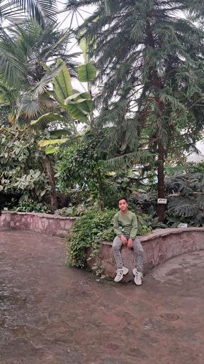 عکس باغ گلها