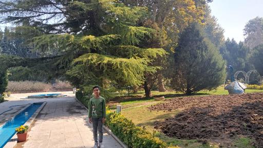 عکس باغ گلها