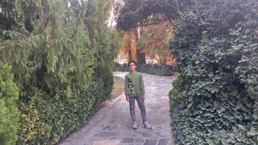 عکس باغ گلها