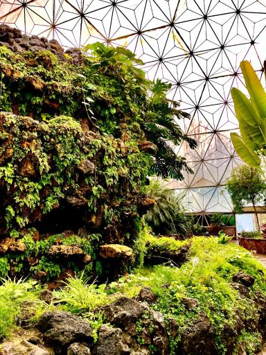 عکس باغ گلها