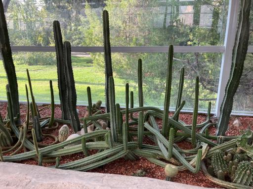 عکس باغ گلها