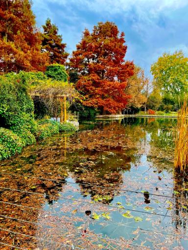 عکس باغ گلها