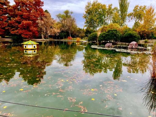 عکس باغ گلها