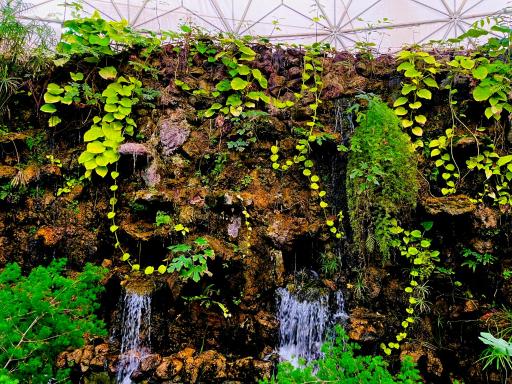 عکس باغ گلها