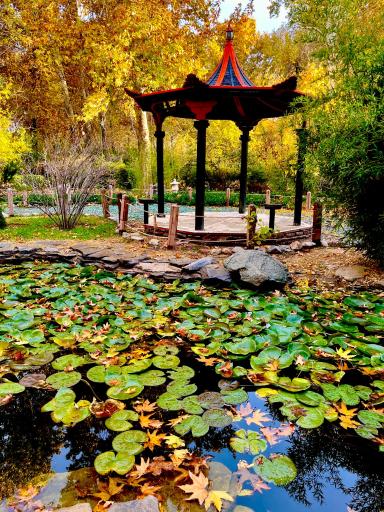 عکس باغ گلها