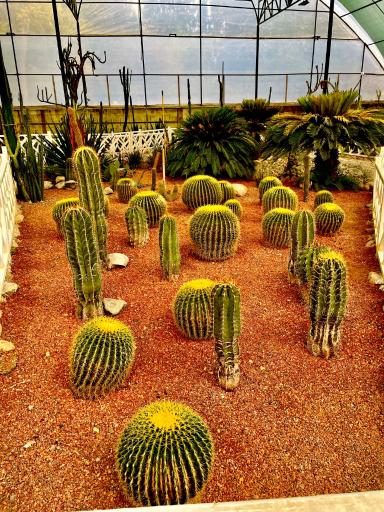 عکس باغ گلها