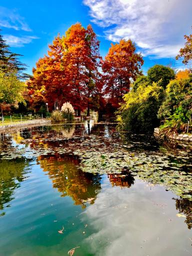 عکس باغ گلها