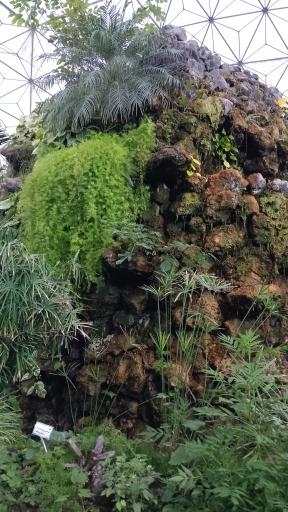 عکس باغ گلها